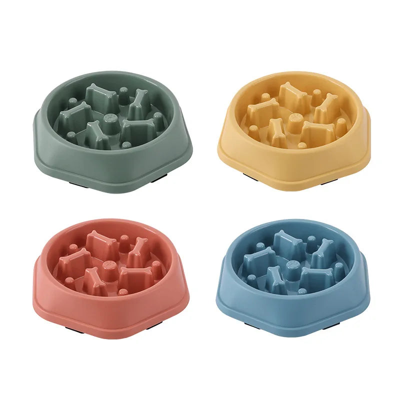 Pet Food Bowl